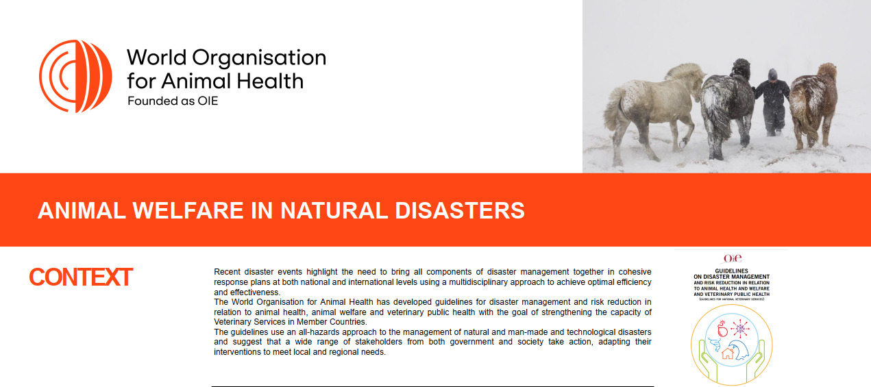 Благополучие животных при стихийных бедствиях