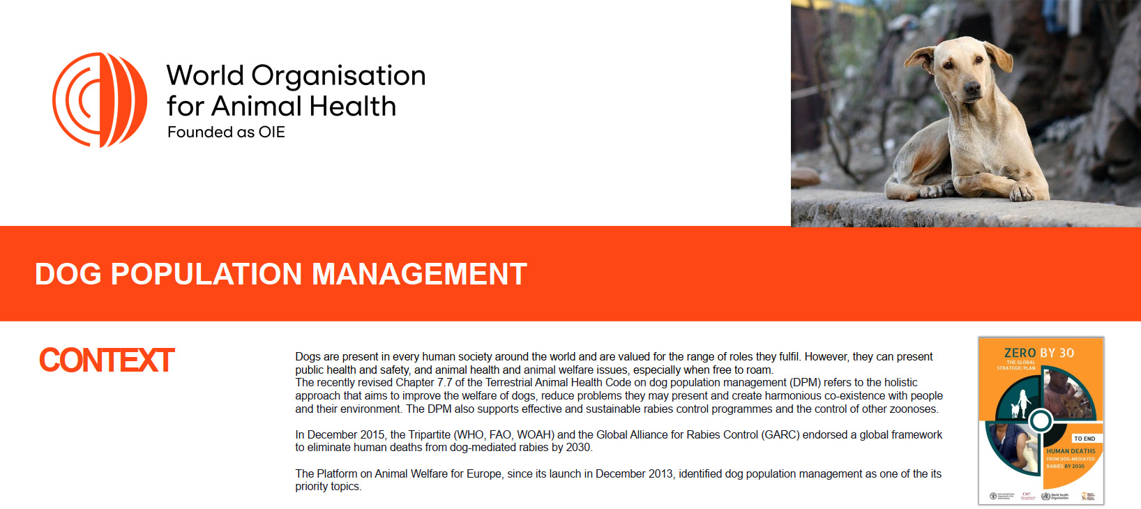 Управление популяцией собак