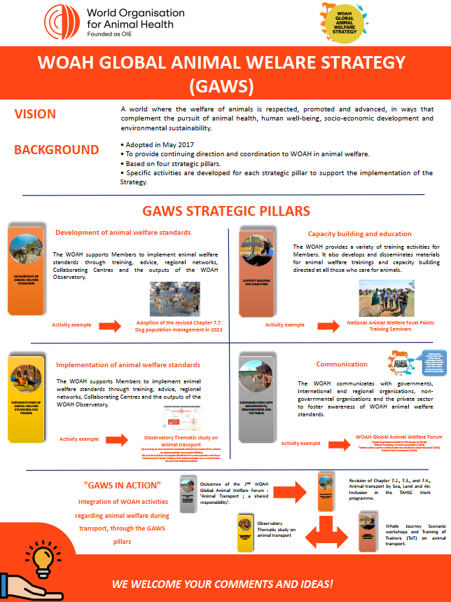 Глобальная стратегия ВОЗЖ по благополучию животных
