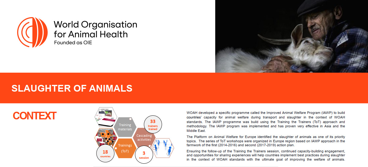 Убой животных