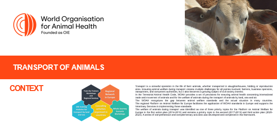 Транспортировка животных