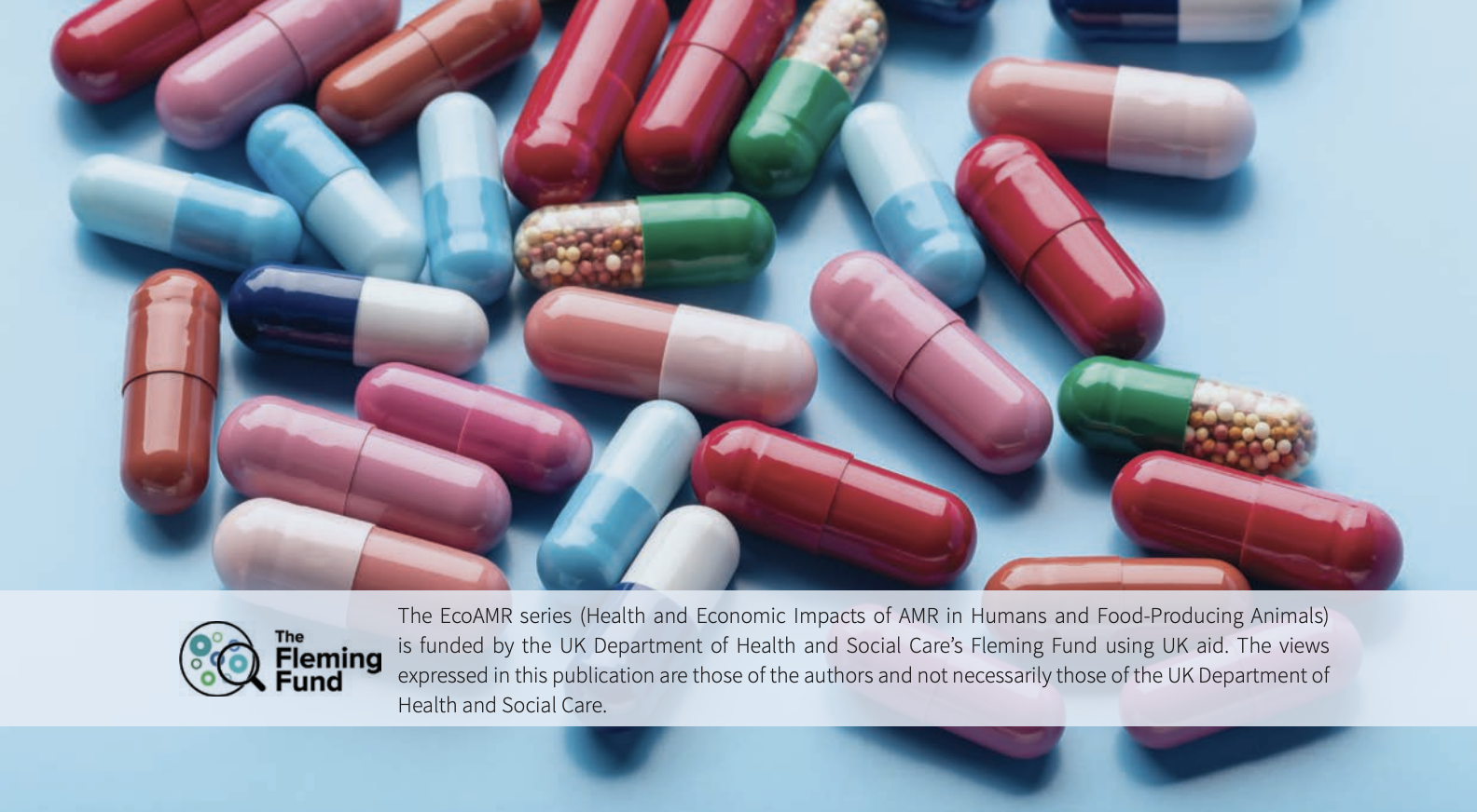 Forecasting the Fallout from AMR: Human Health Impacts of Antimicrobial Resistance