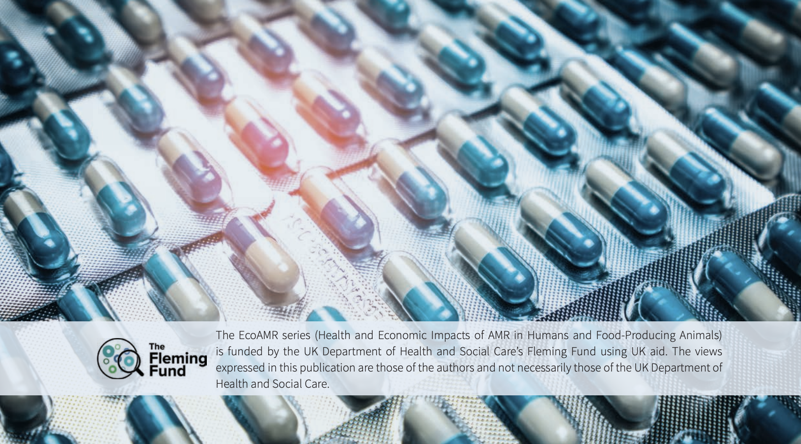 Forecasting the Fallout from AMR: Economic Impacts of Antimicrobial Resistance in Humans