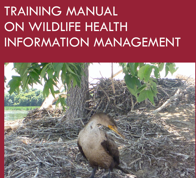 a-training-manual-wildlife-5