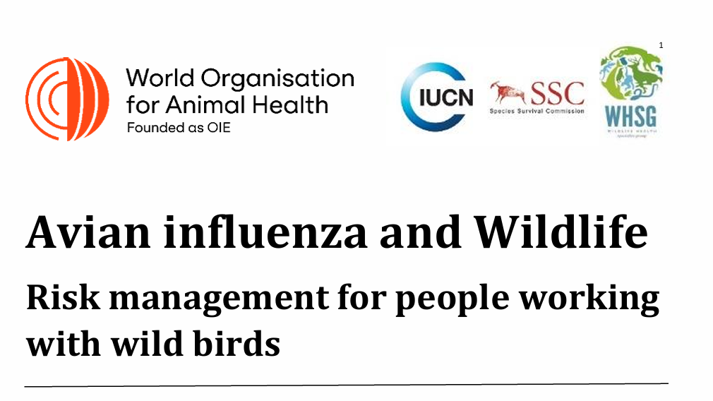 avian-influenza-en