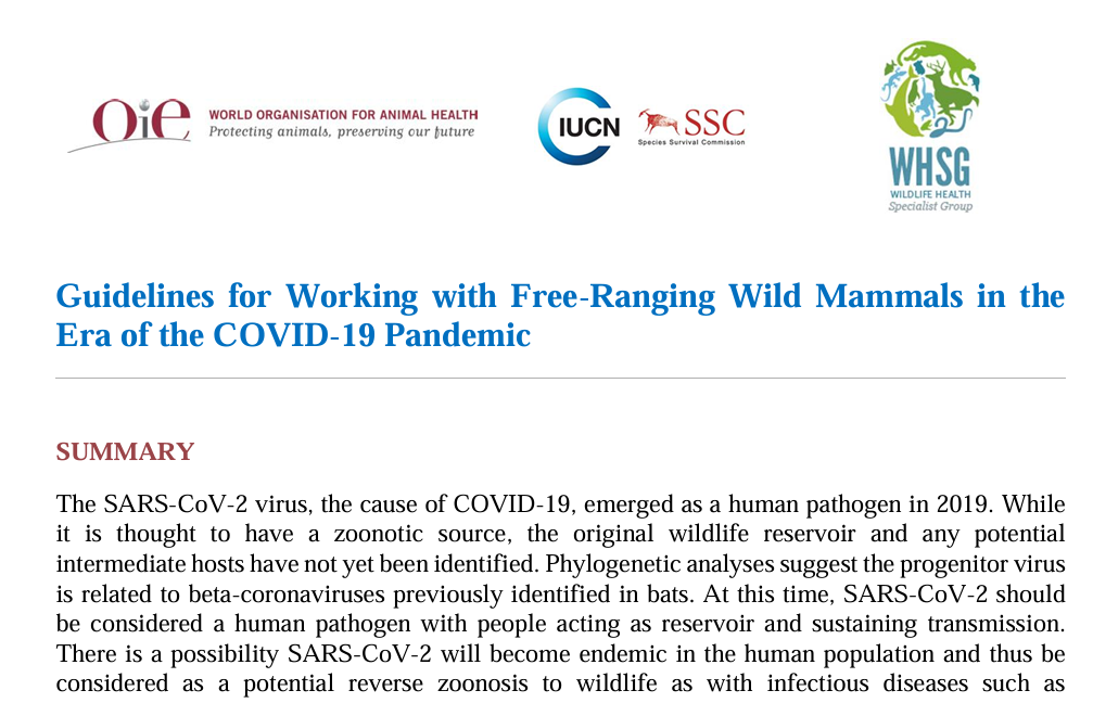 a-whsg-and-oie-covid-19-guidelines